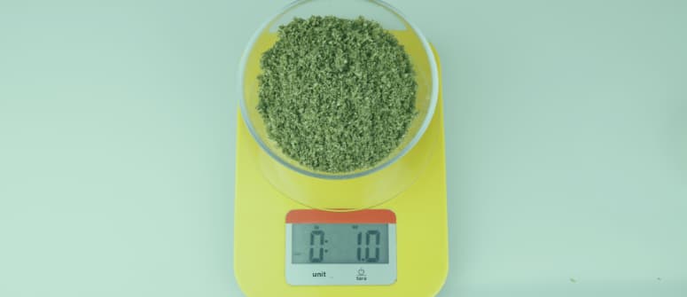 Powder scale